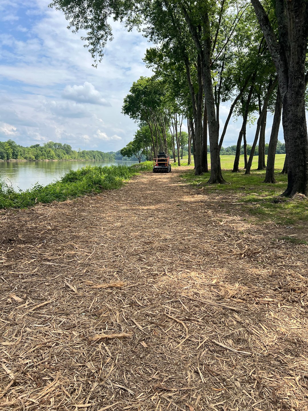Commercial forestry mulching project