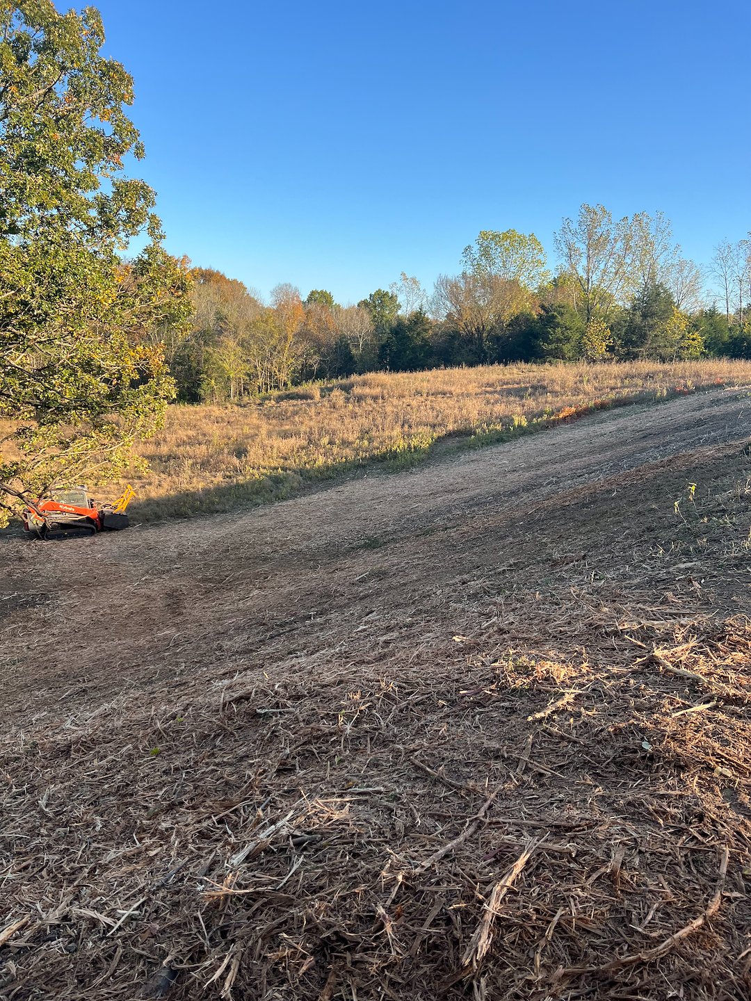 Forestry mulching and land clearing  (1)