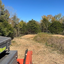 Forestry-mulching-and-land-clearing-1 3