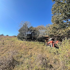 Forestry-mulching-and-land-clearing-1 4