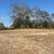 Forestry-mulching-and-land-clearing 2