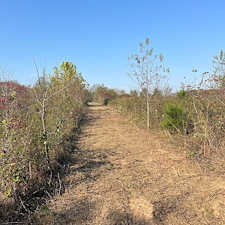 Forestry-mulching-and-land-clearing 4