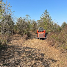 Forestry-mulching-and-land-clearing 3