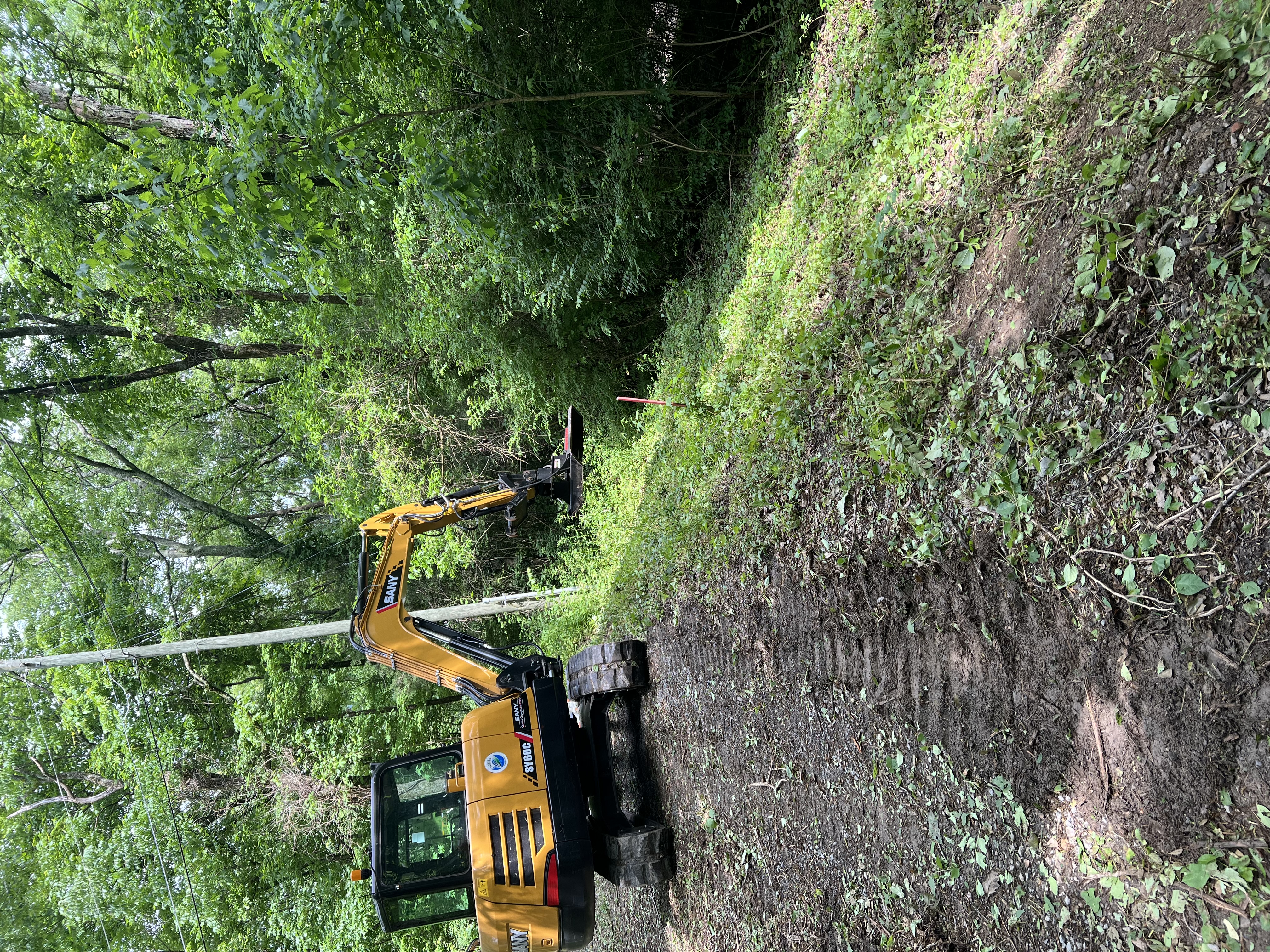 Forestry mulching and mowing