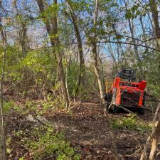 Forestry Mulching Brentwood 0