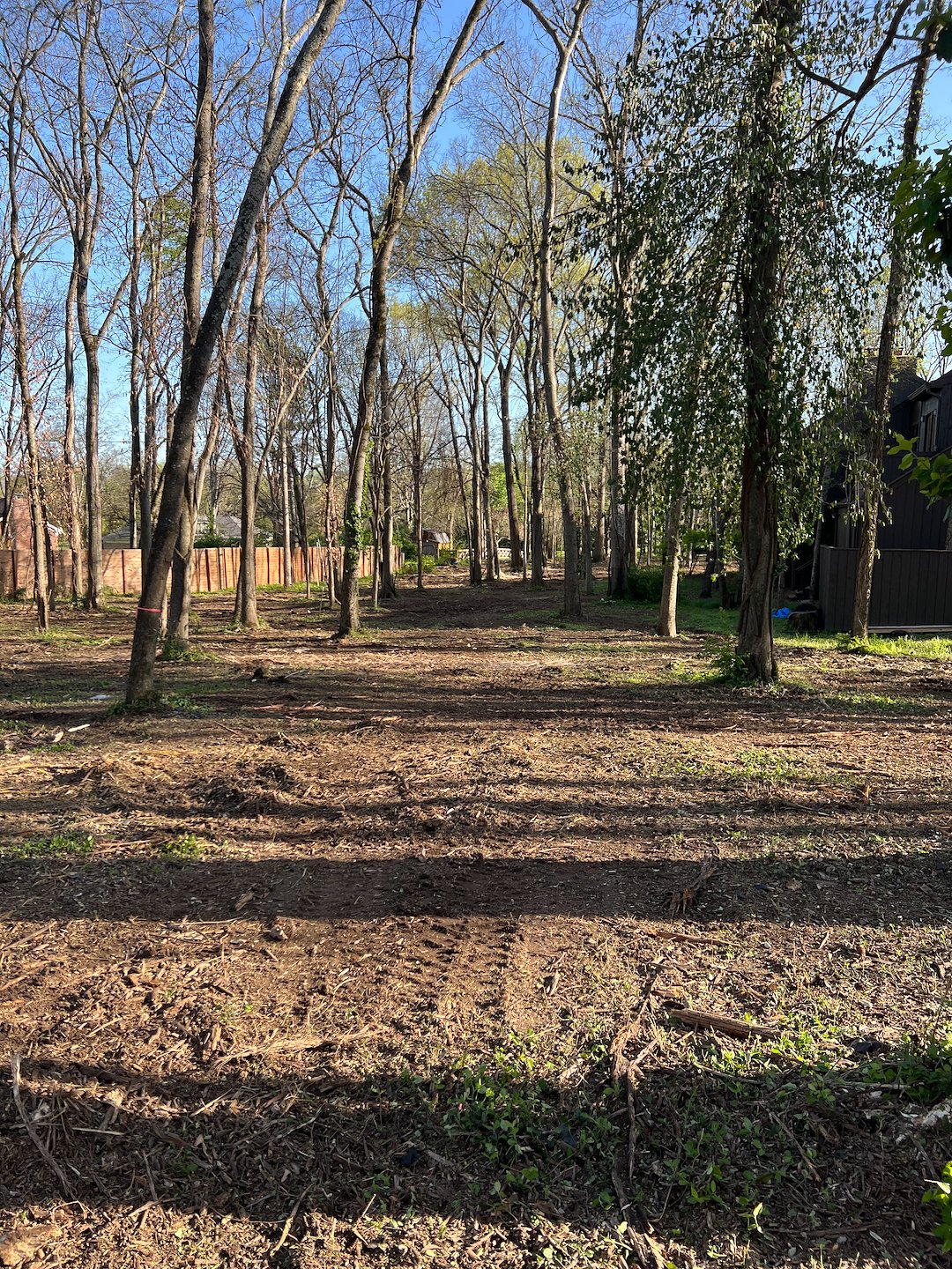 Forestry mulching, brush clearing