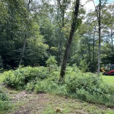 Forestry-Mulching-in-Ashland-City 0