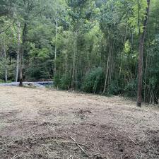 Forestry-Mulching-in-Ashland-City 1