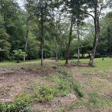 Forestry-Mulching-in-Ashland-City 2