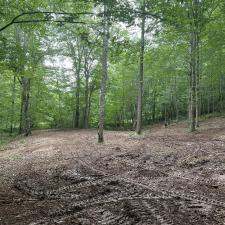 Forestry-Mulching-in-Ashland-City 4