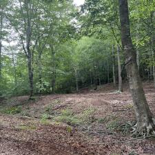 Forestry-Mulching-in-Ashland-City 6