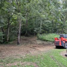 Forestry-Mulching-in-Ashland-City 7