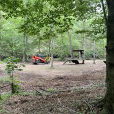 Forestry-Mulching-in-Ashland-City 8