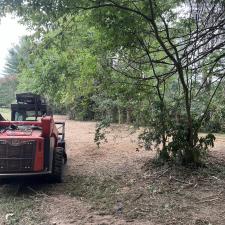 Forestry-mulching-land-clearing-1 1