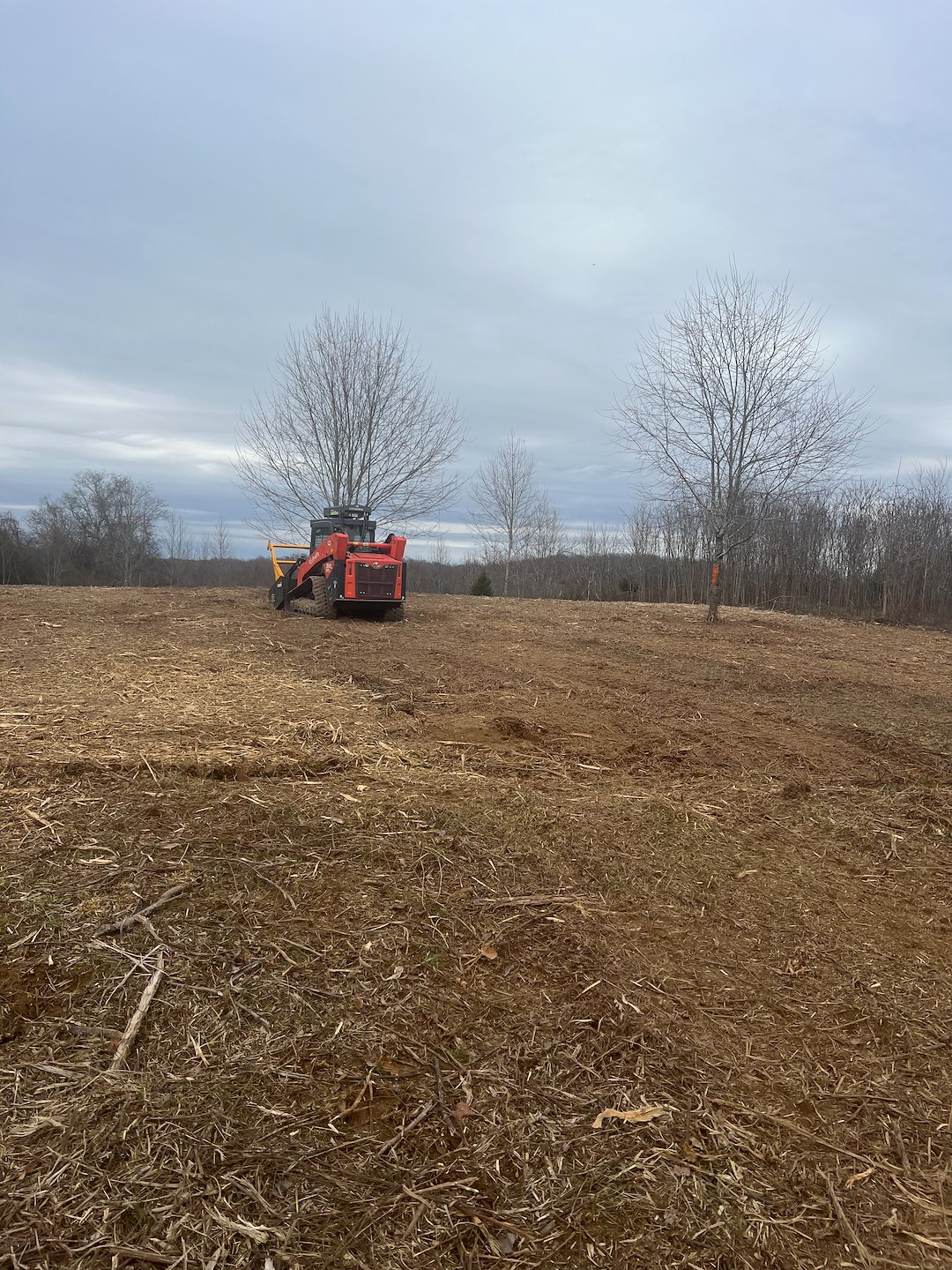 Forestry mulching, land clearing 