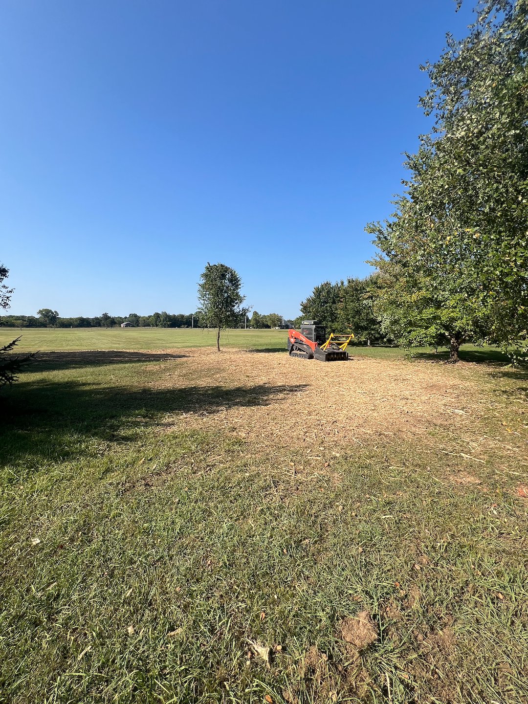 Forestry mulching trails, dead trees and brush