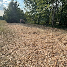 Forestry-mulching-trails-dead-trees-and-brush 4