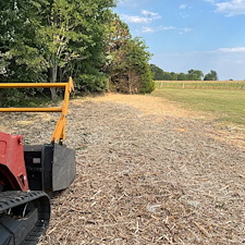 Forestry-mulching-trails-dead-trees-and-brush 0