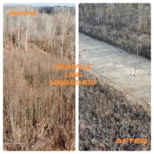 Forestry mulching white bluff