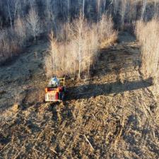 Forestry mulching white bluff