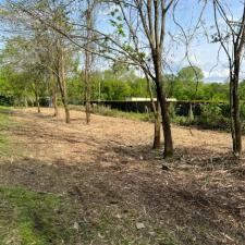 Forstry mulching baseball field