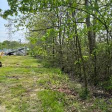 Forstry mulching baseball field